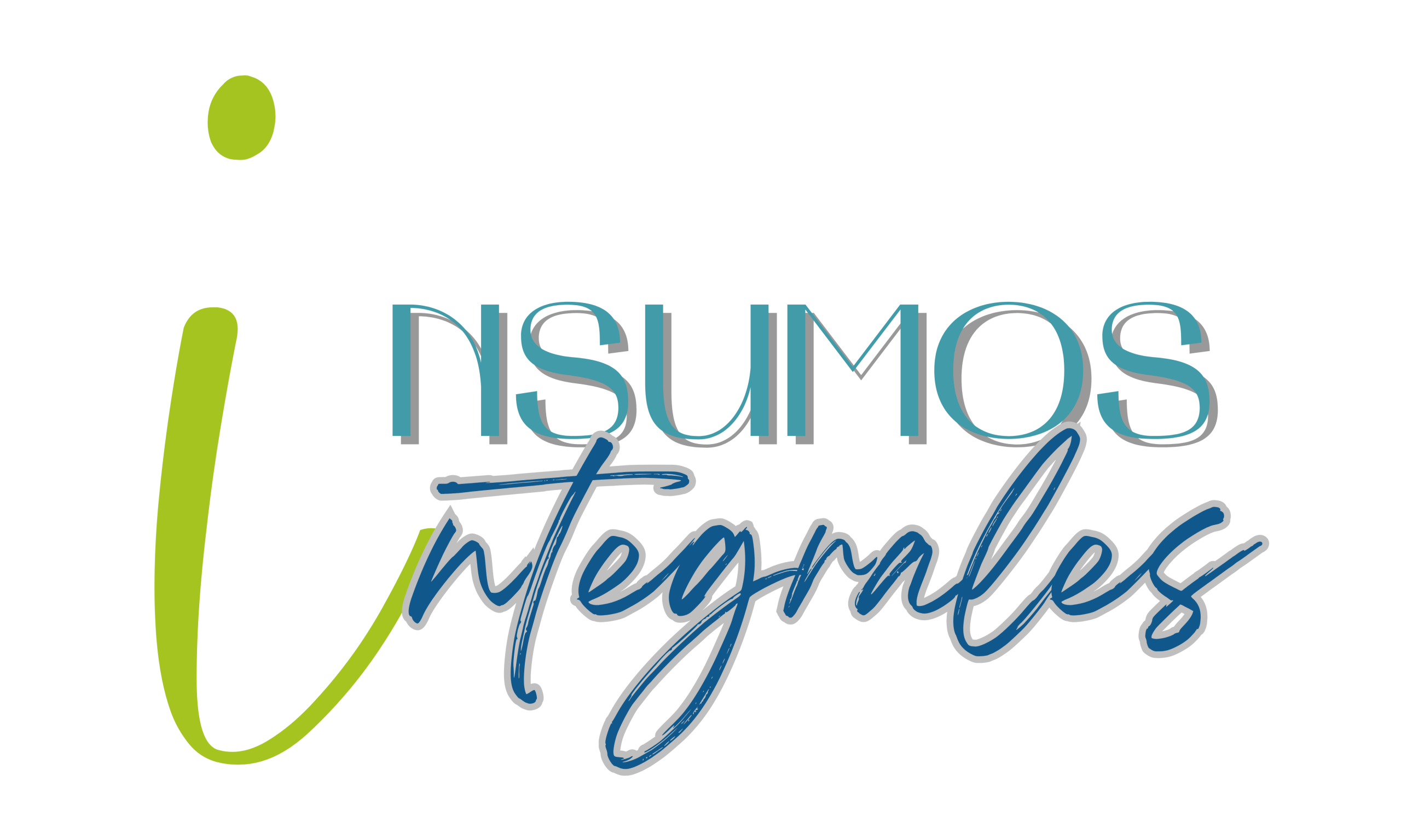 Insumos Integrales SpA